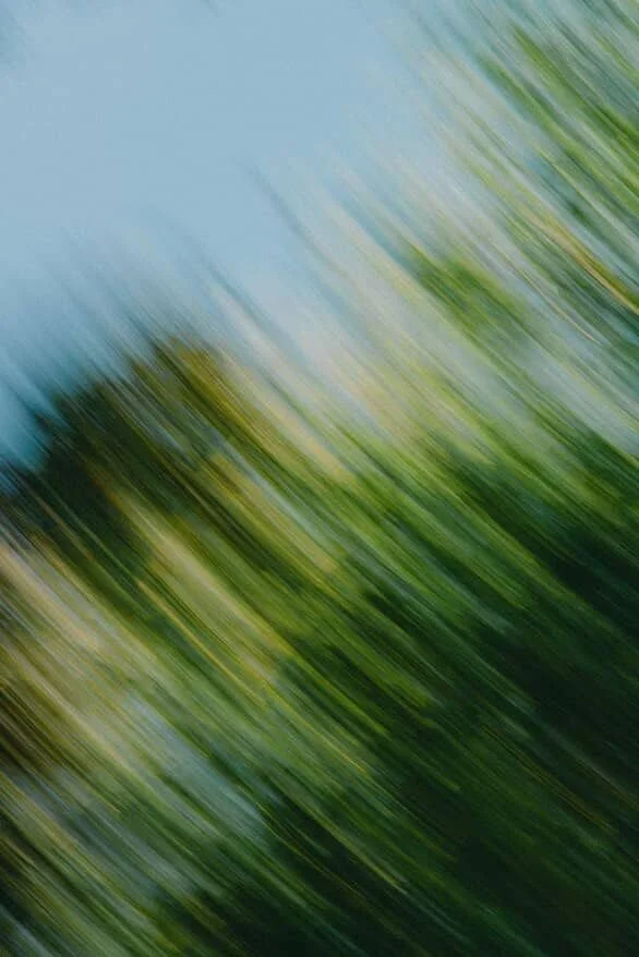 Blurred motion of green trees and blue sky, creating diagonal streaks.