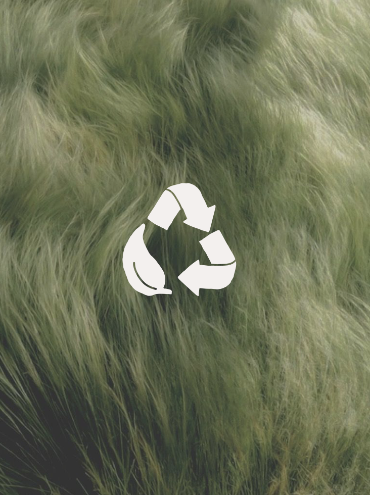 Close-up view of green grass with a white recycling symbol overlay.