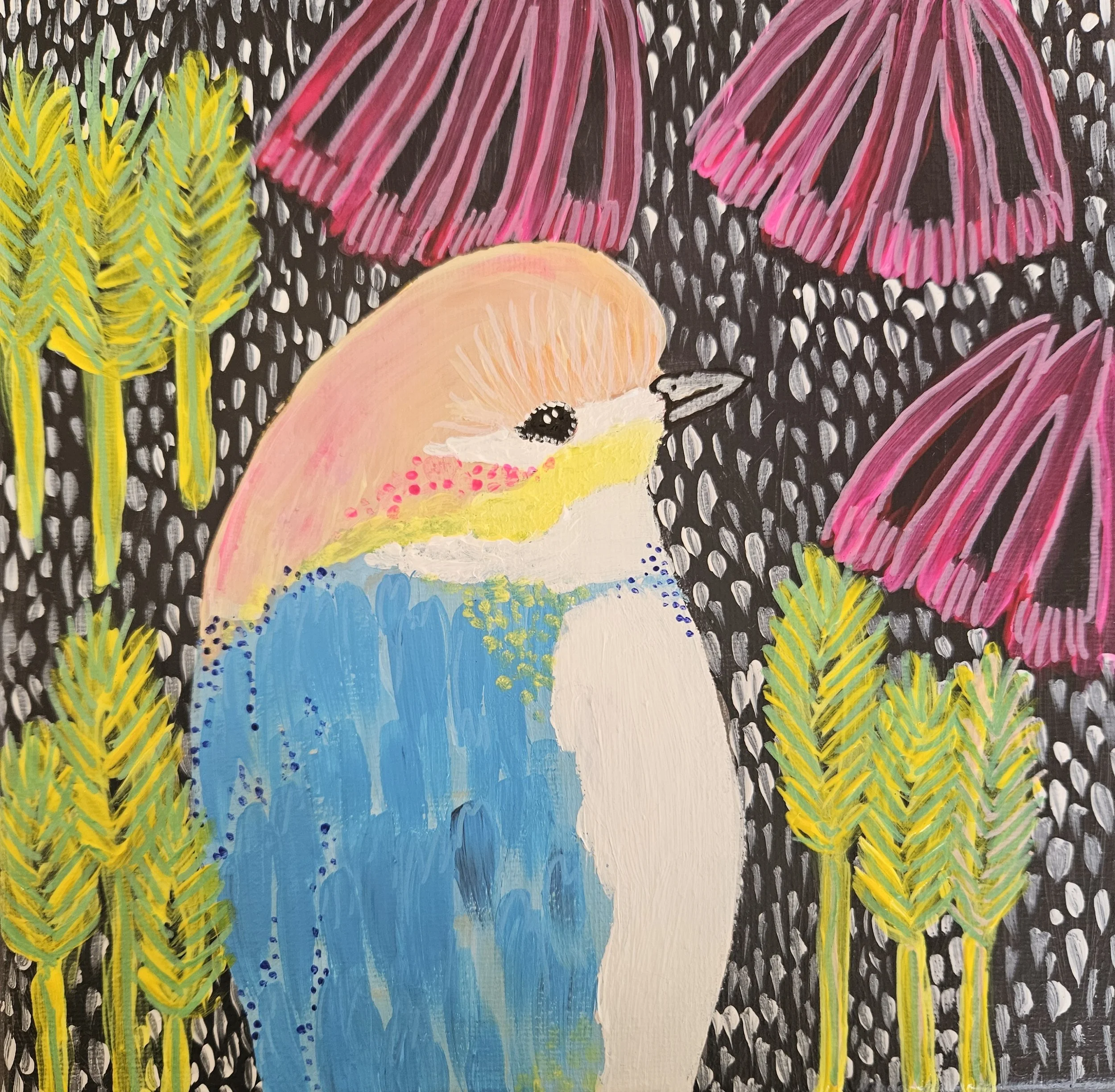 Speckled Robin