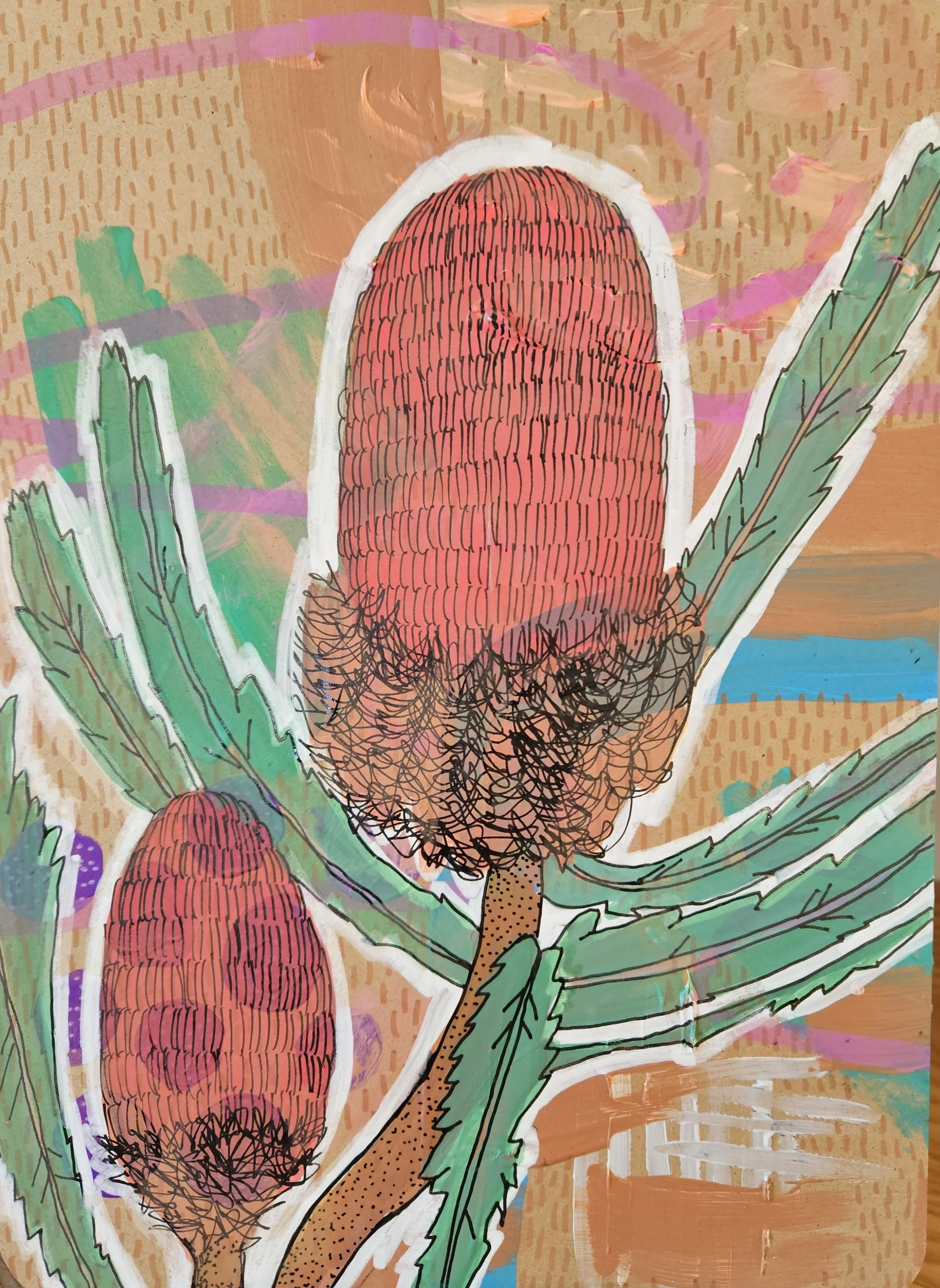 Red Banksia