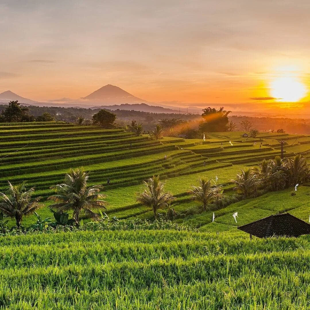 Ubud