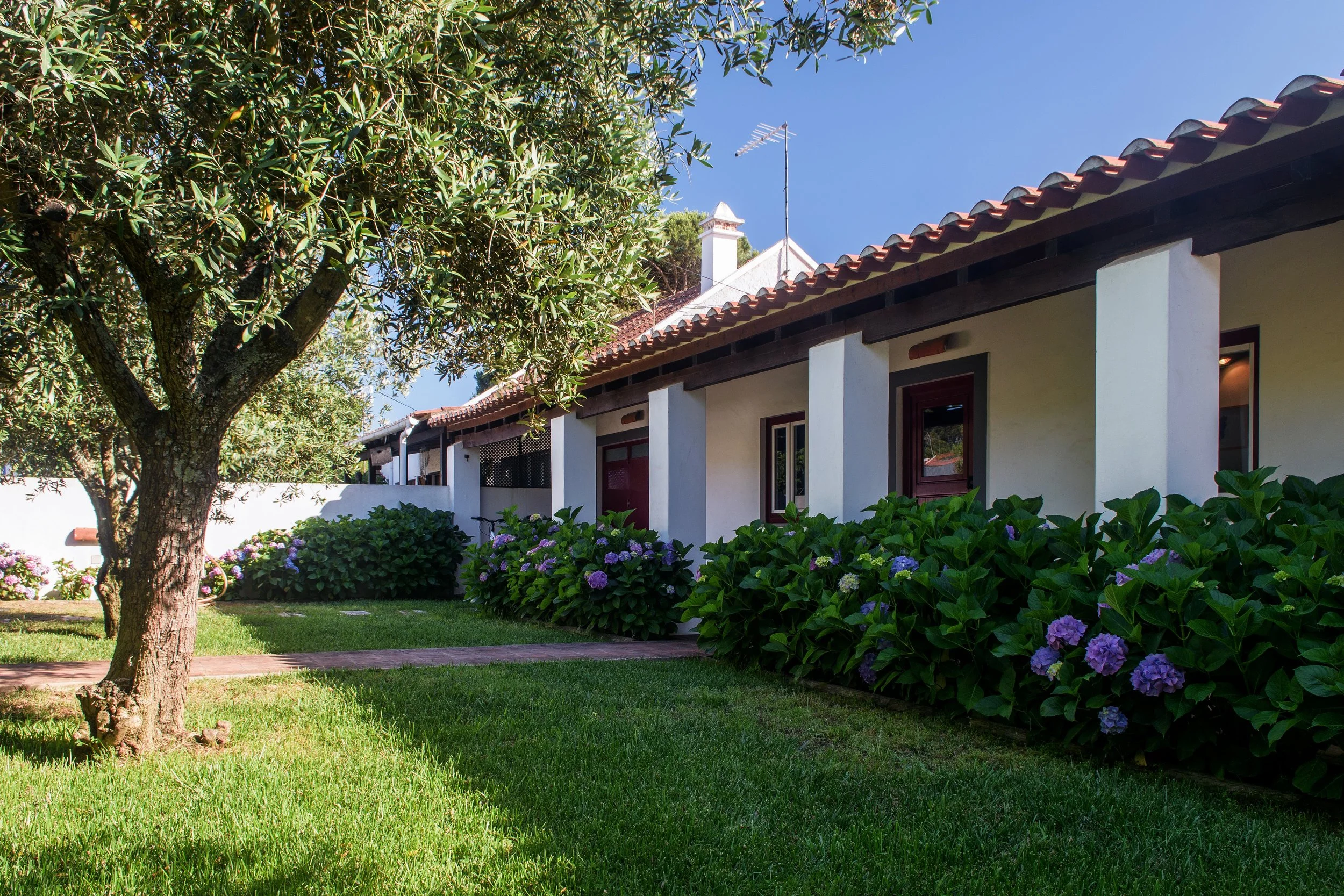 Casa do Galeado Milfontes - Branco de Cal