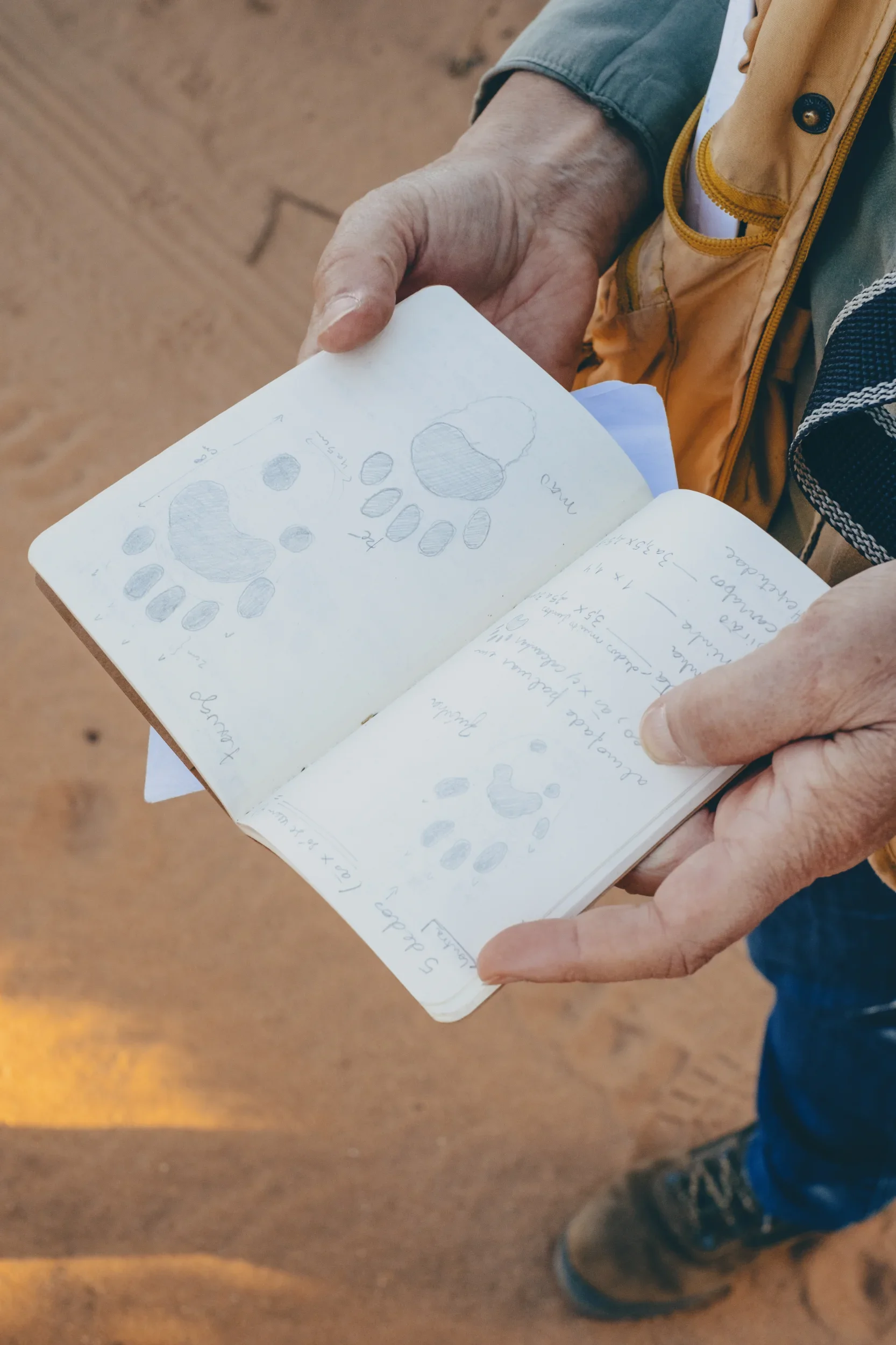 Caderno Paula Canha Milfontes, Região do Alentejo - Branco de Cal