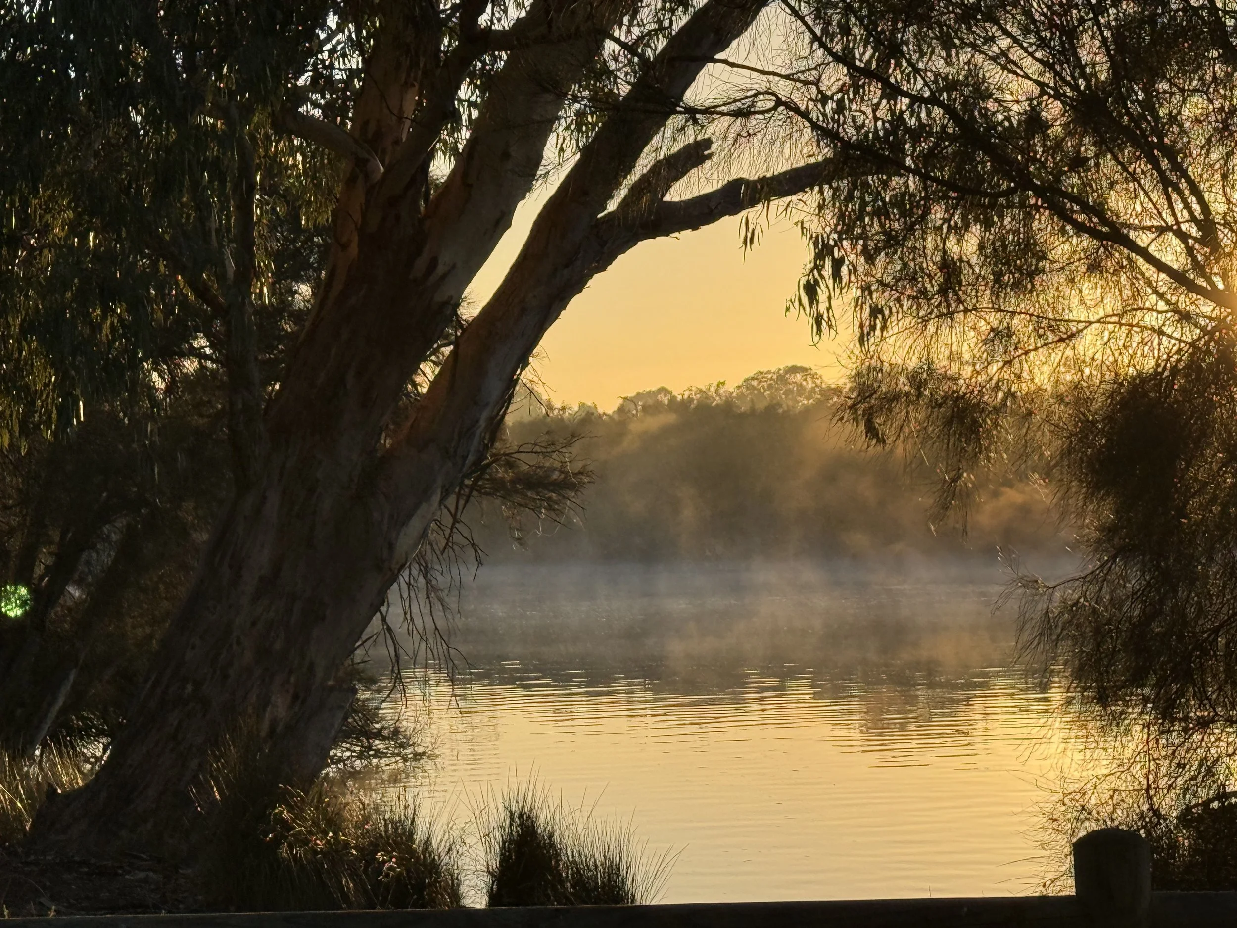 A tranquil lakeside scene at sunset with a large tree in the foreground and water reflecting the warm colors of the sky.