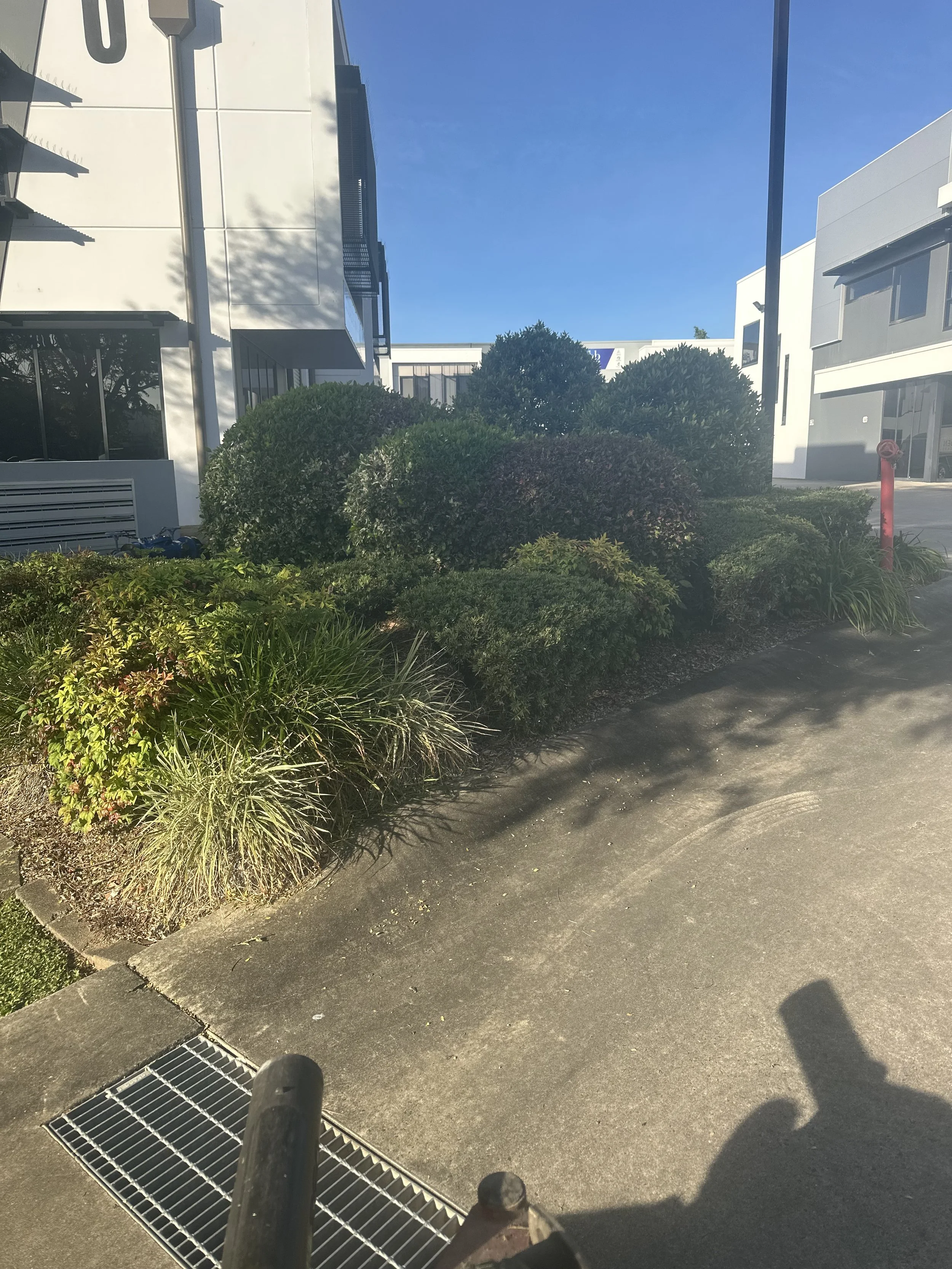 IMG_9058.jpeg