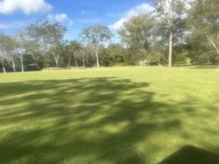 66271998-e846-4886-bf9d-81b6c9e5993b.jpg