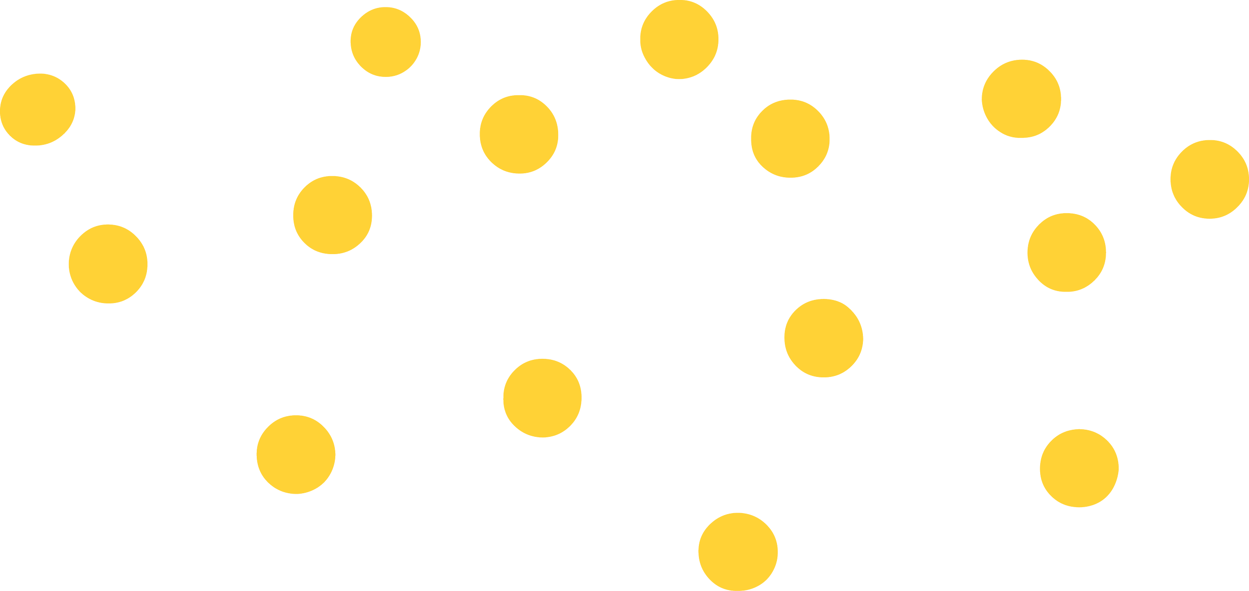 A large black spider decorated with yellow dots on its body and legs.
