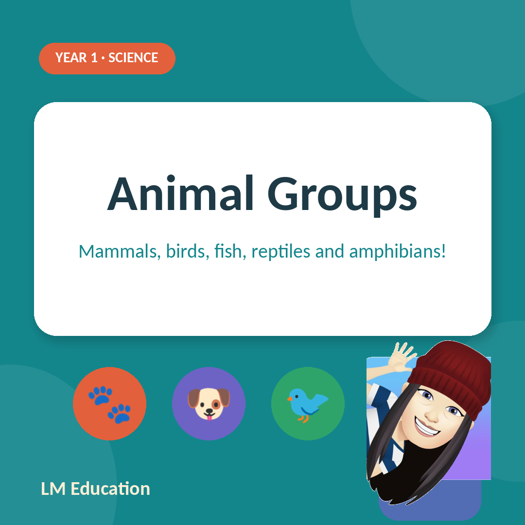 Animal Groups — Year 1 Science