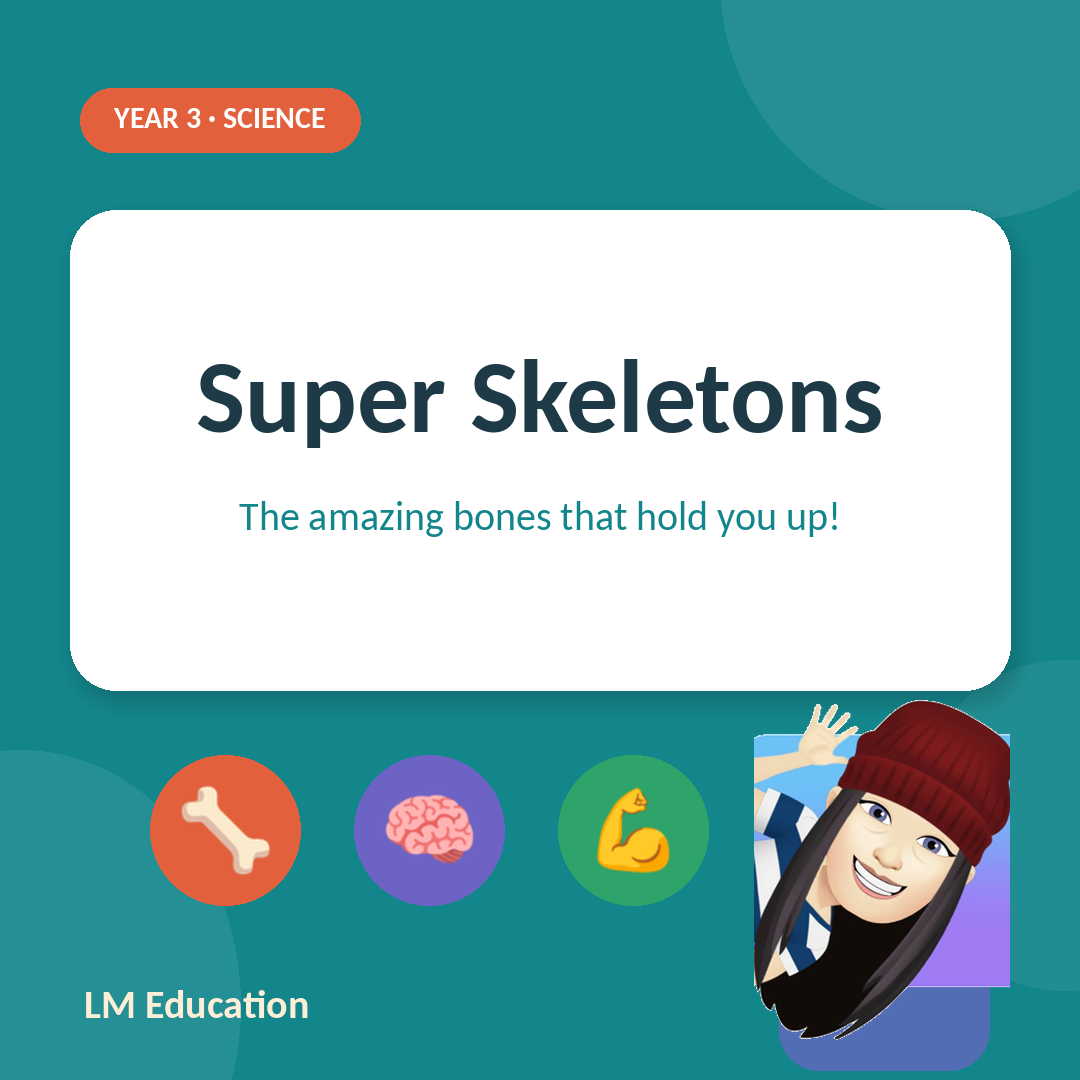 Super Skeletons — Year 3 Science
