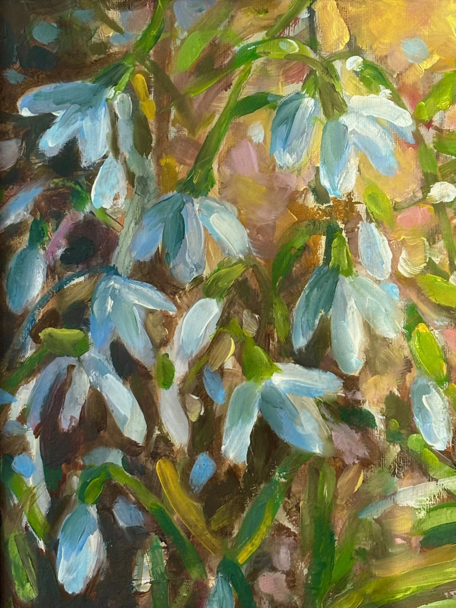 Snowdrops