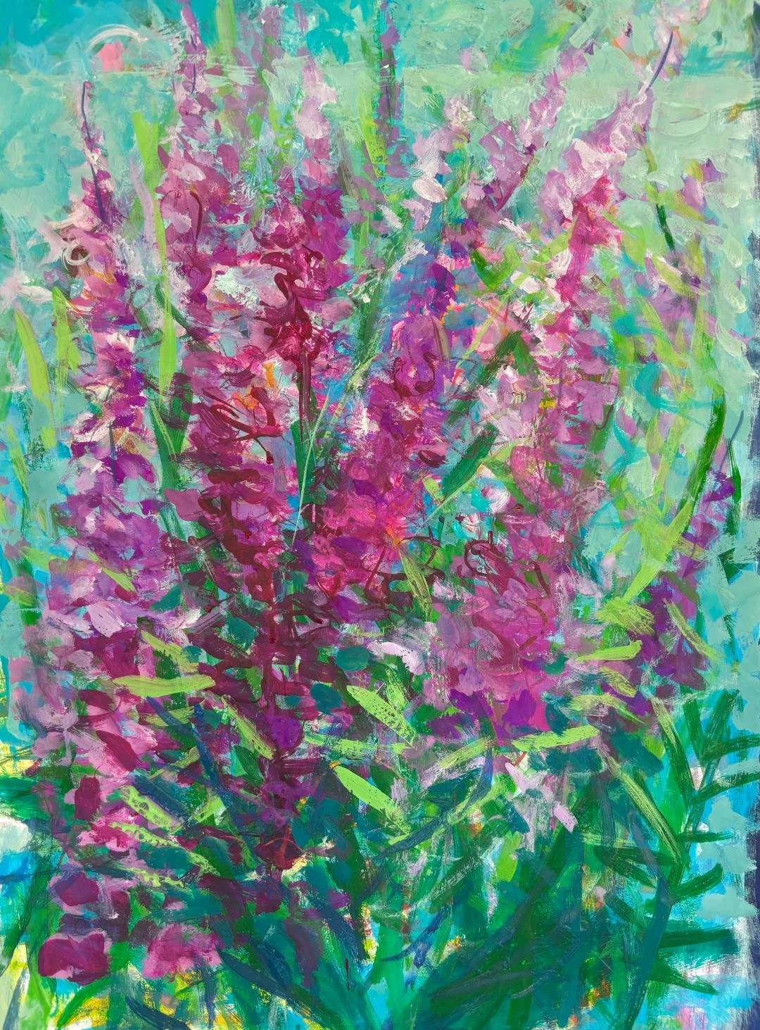 Purple Loosestrife