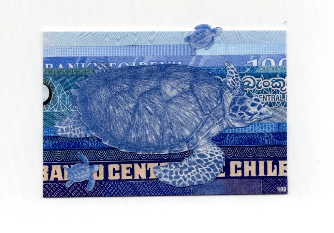 Mini Series - 2010 Brazil 2 Reais