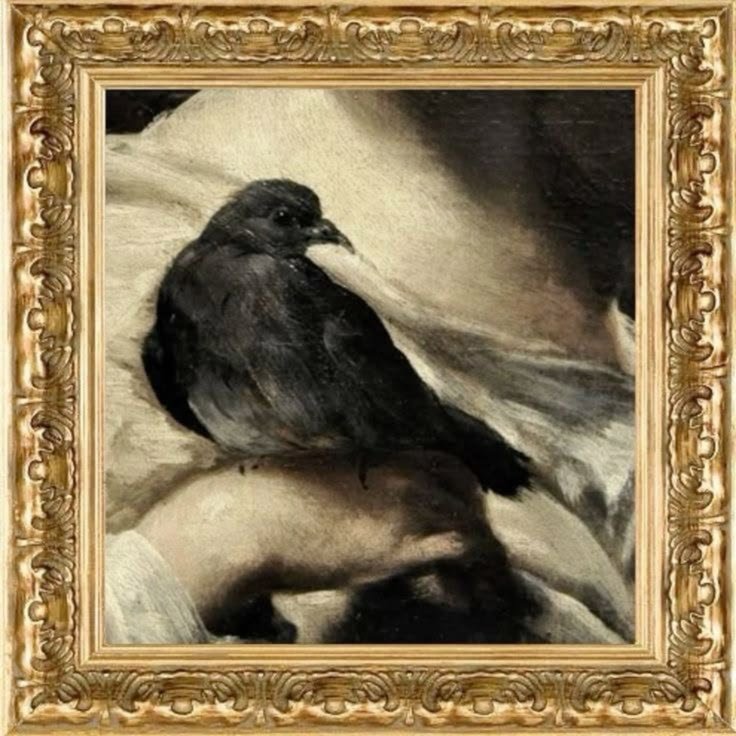 A framed black and white photo of a bird perched on a person's hand and arm.