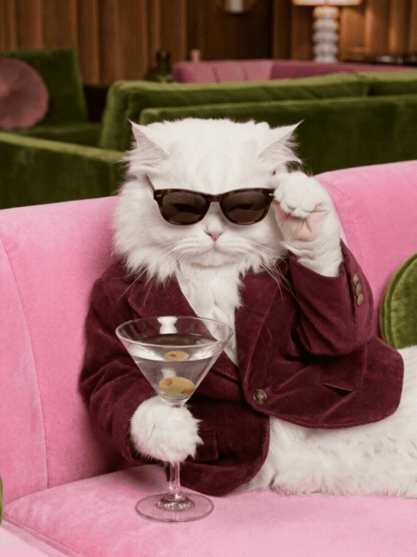 A white cat wearing sunglasses and a maroon blazer sitting on a pink sofa, holding a glass of martini with three olives