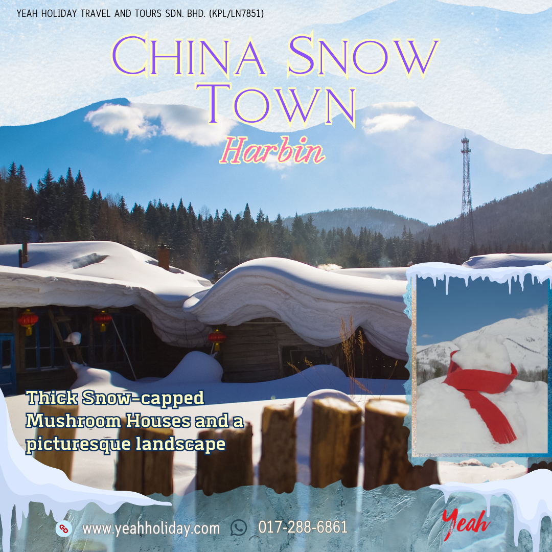 chinasnowtown.png