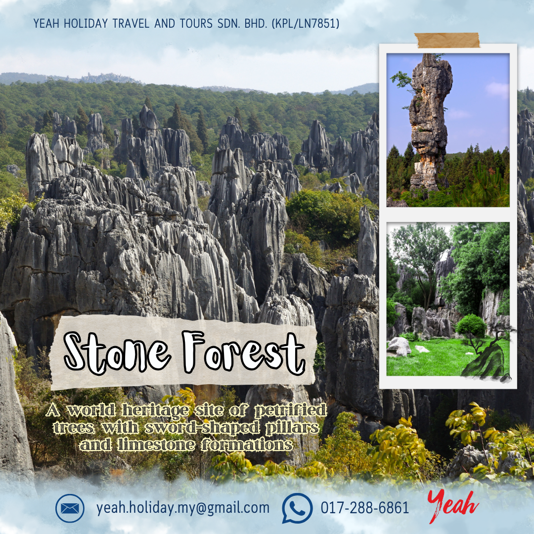 stone forest.png