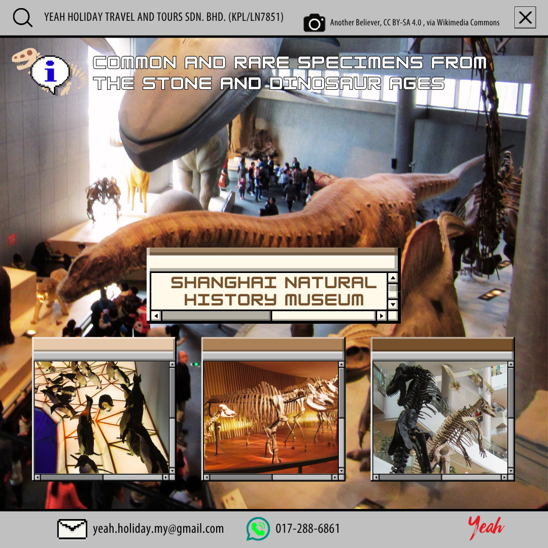 Shanghai Natural HIstory Museum.png