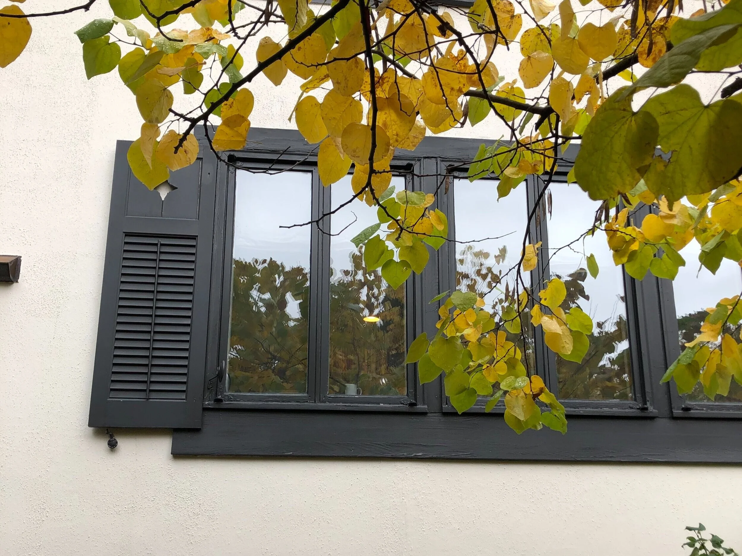 BEFORE - OLD WINDOWS