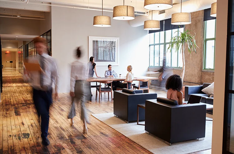 Constructing the Office of the Future: A Sustainable Community