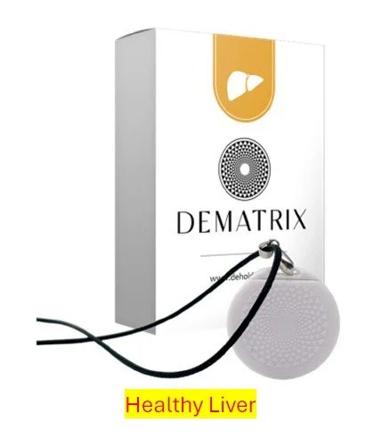 Healthy Liver_2026-05-18.jpg