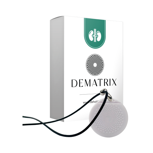 DEMATRIX GESUNDE NIEREN