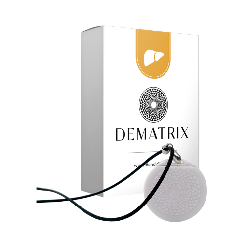 DEMATRIX GESUNDE LEBER