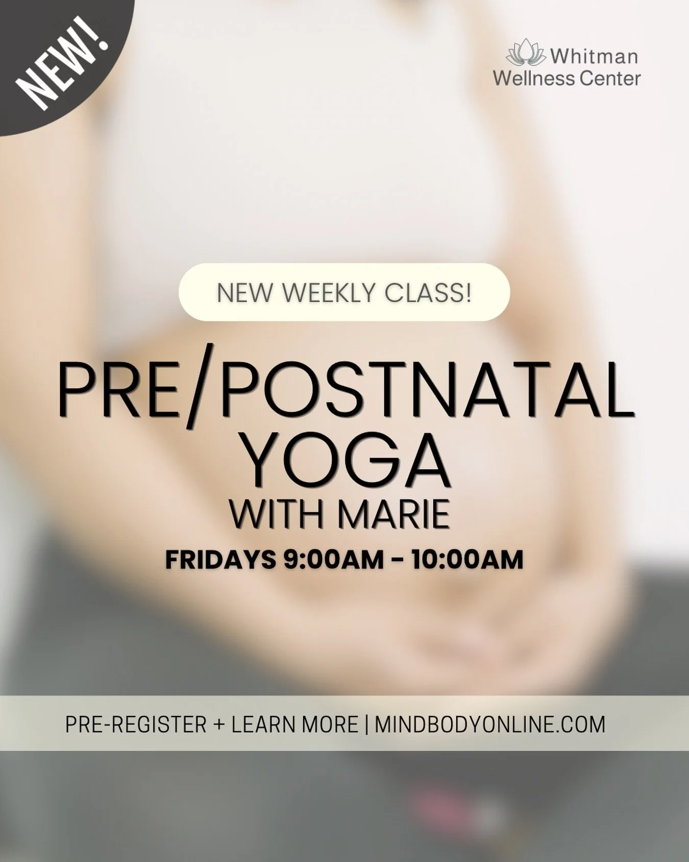 New weekly class! Pre/Postnatal Yoga with Marie every Friday at 9:00am!

Our Pre-Postnatal Yoga Classes are crafted to help you:
&bull; Develop stamina and strength as your baby grows.&bull;
Strengthen your hips, back, arms, and shoulders to effectiv