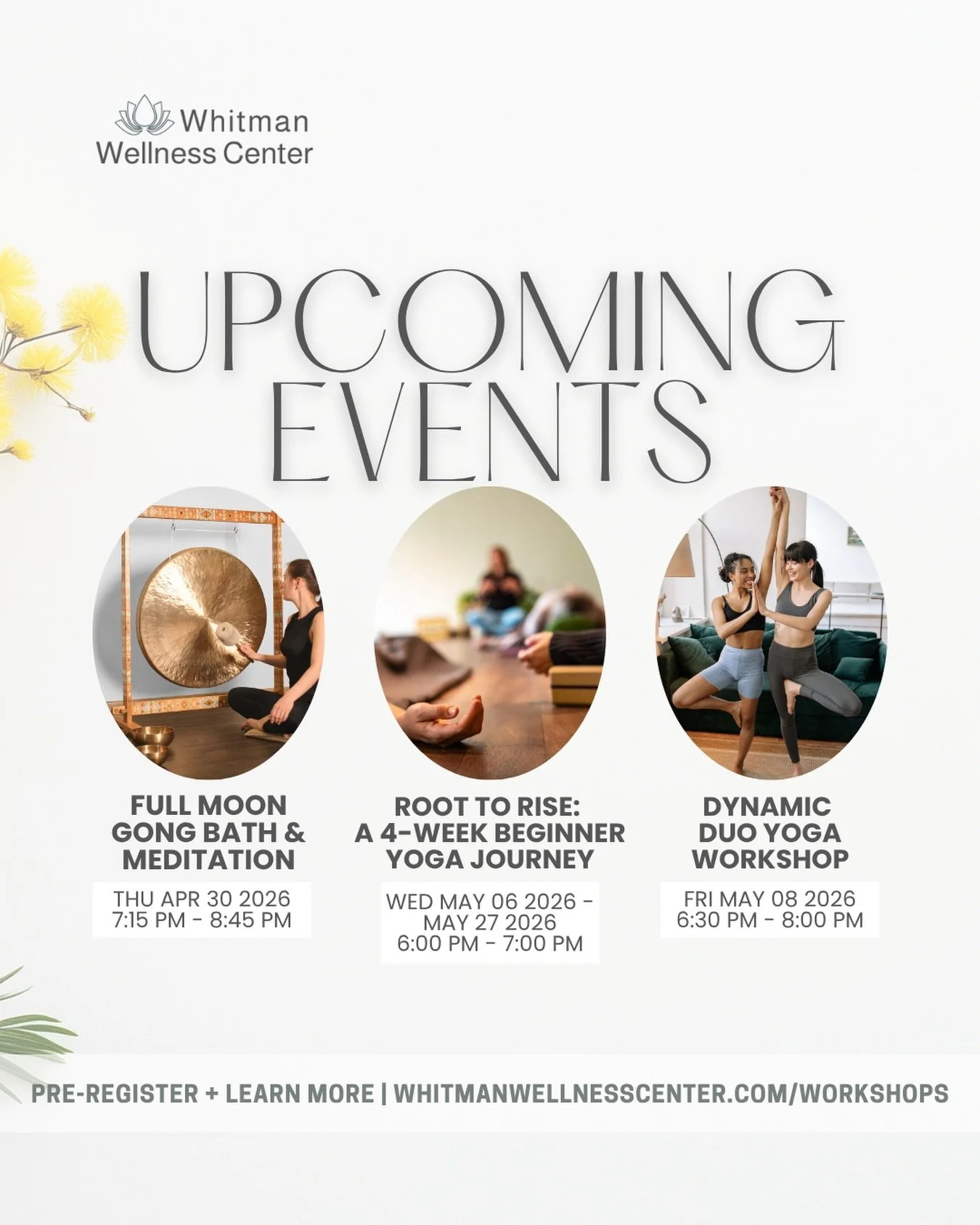 Our beloved full moon bath and meditation is back next Thursday night! As well as our Route to Rise four week yoga journey on Wednesday evenings, a great way to re-enter your practice or try yoga for the first time.

And of course, the Dynamic Duo Yo