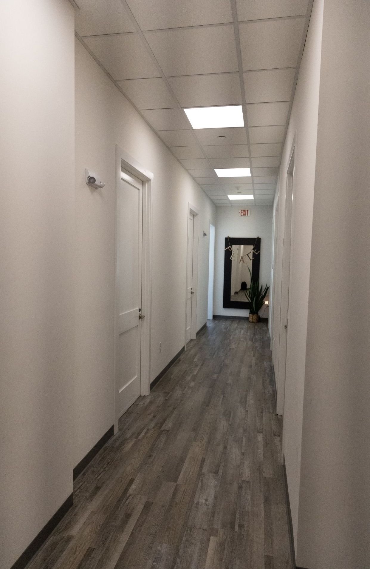 Long hallway with white walls, multiple doors, a large mirror at the end, a potted plant, and ceiling lights.