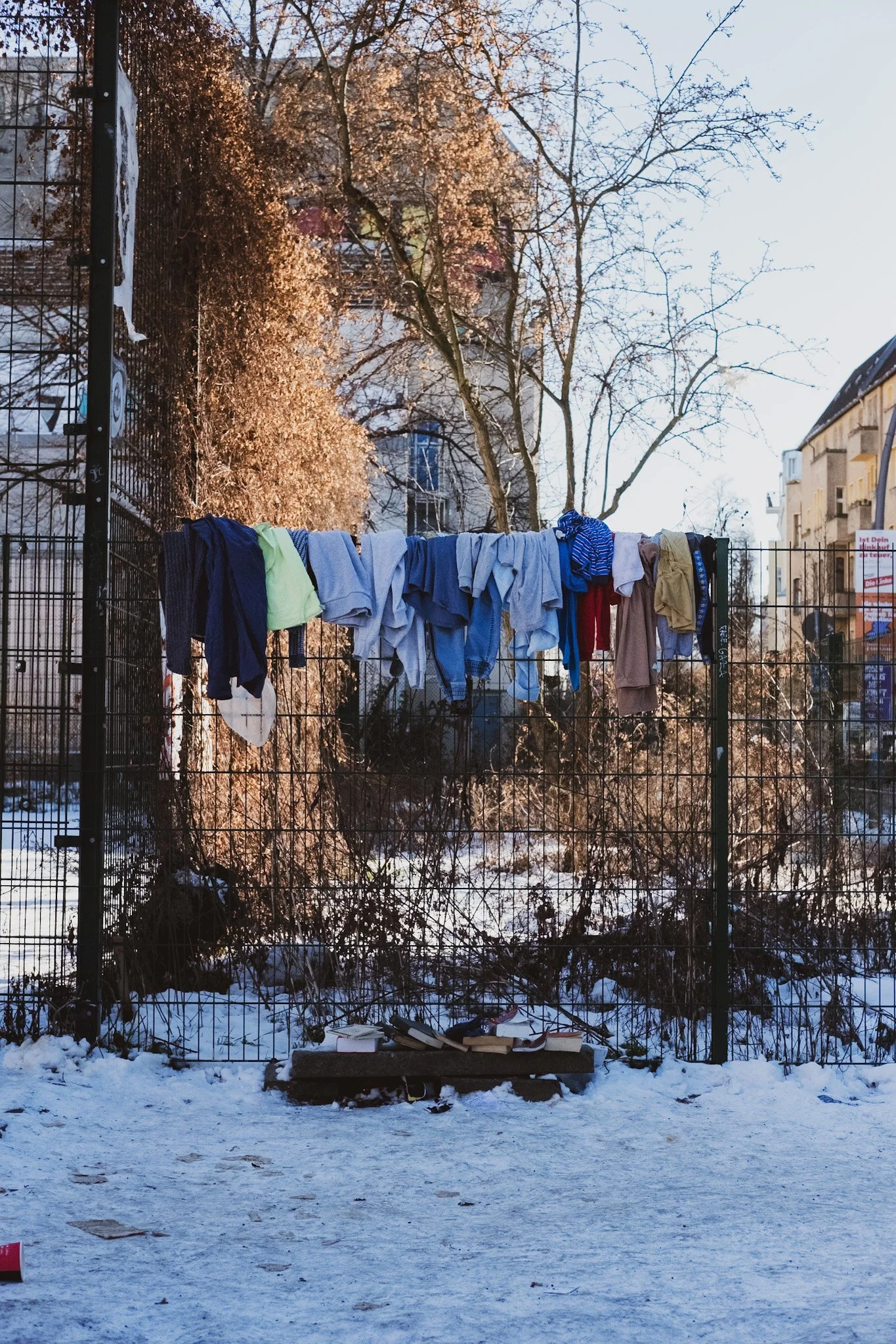 DSCF6580.jpg
