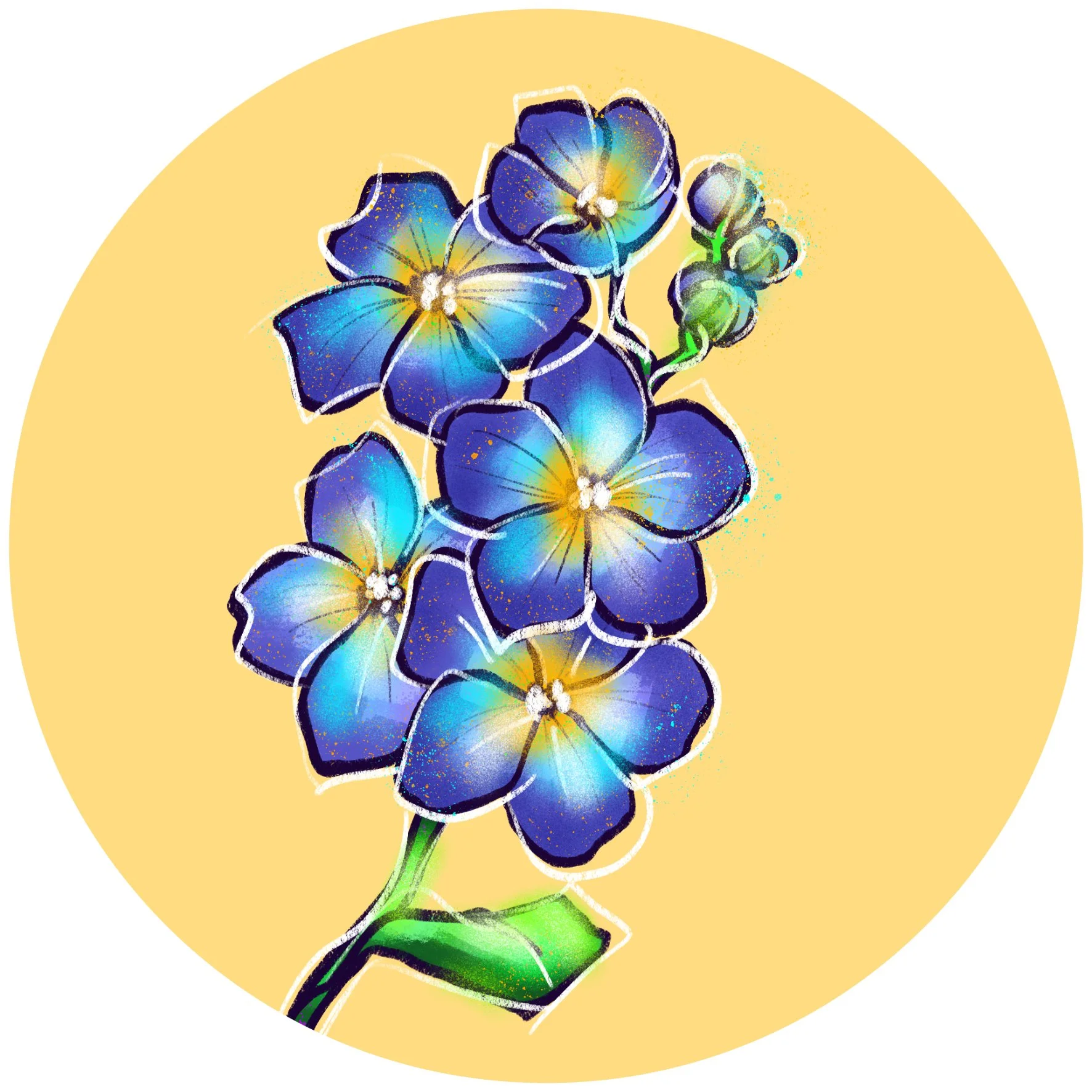 Blumen_4.jpg