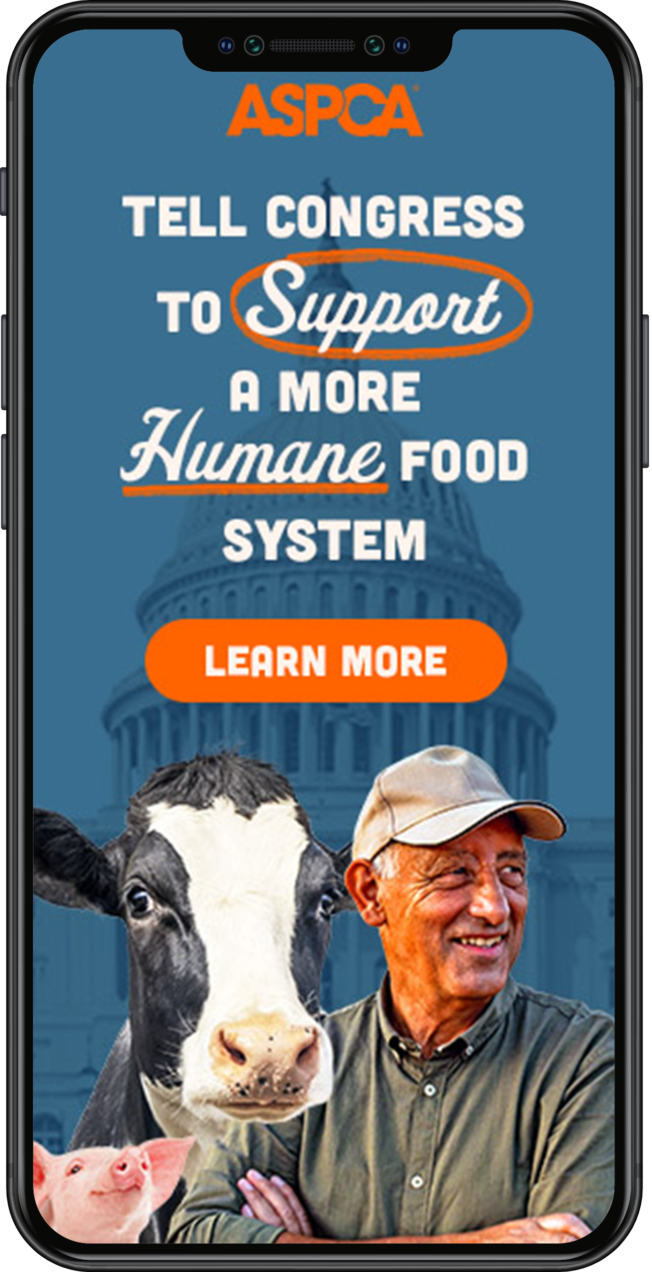 ASPCA Digital Campaign Design