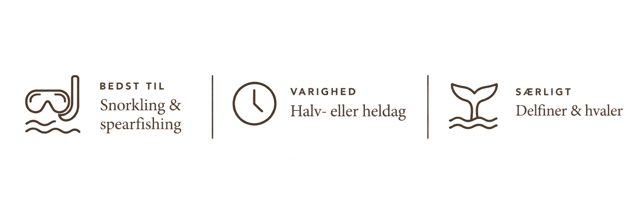 Praktisk information om snorkling, spearfishing og naturliv ved Banana Island.