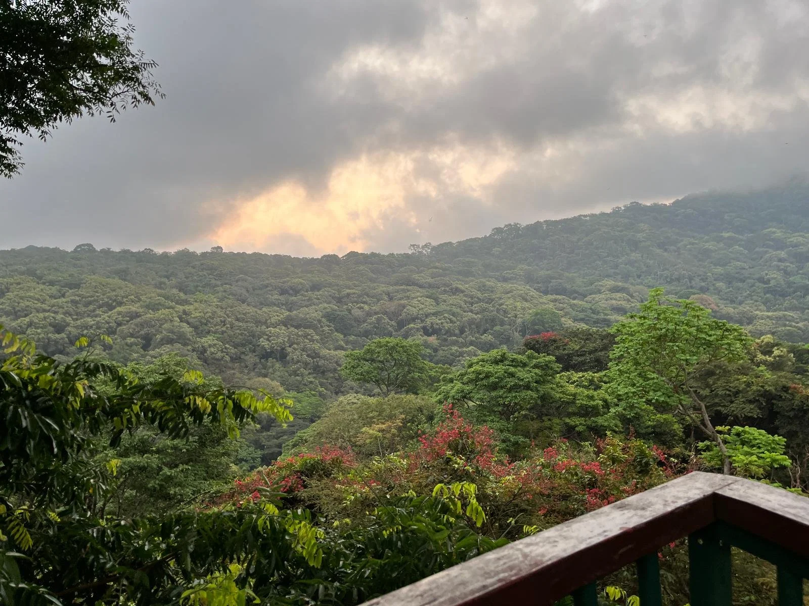Udsigt over de frodige, grønne bjerge omkring Tacugama i Sierra Leone.