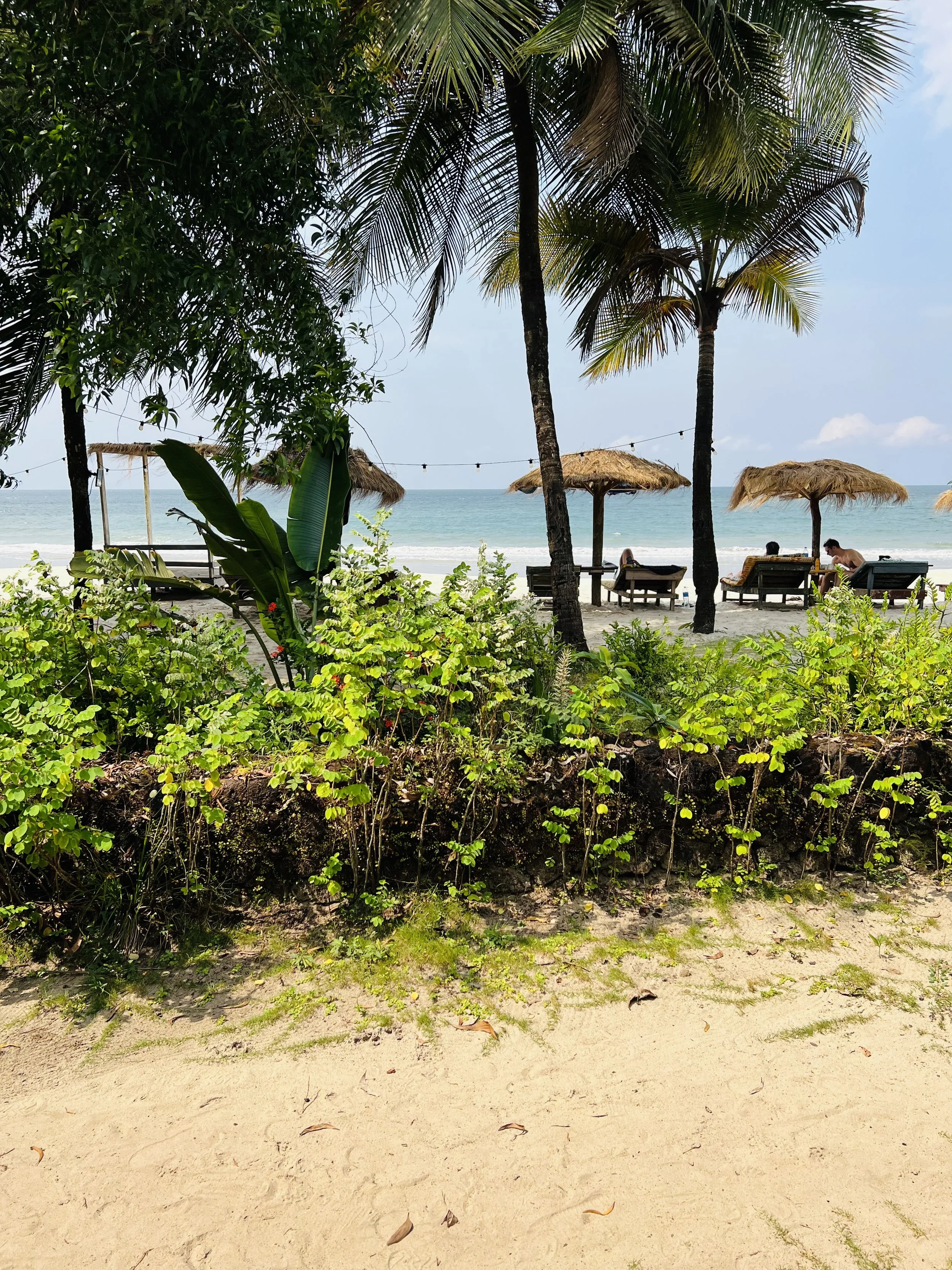 Tropisk strand ved Tokeh i Sierra Leone med palmer og liggestole ud mod havet.