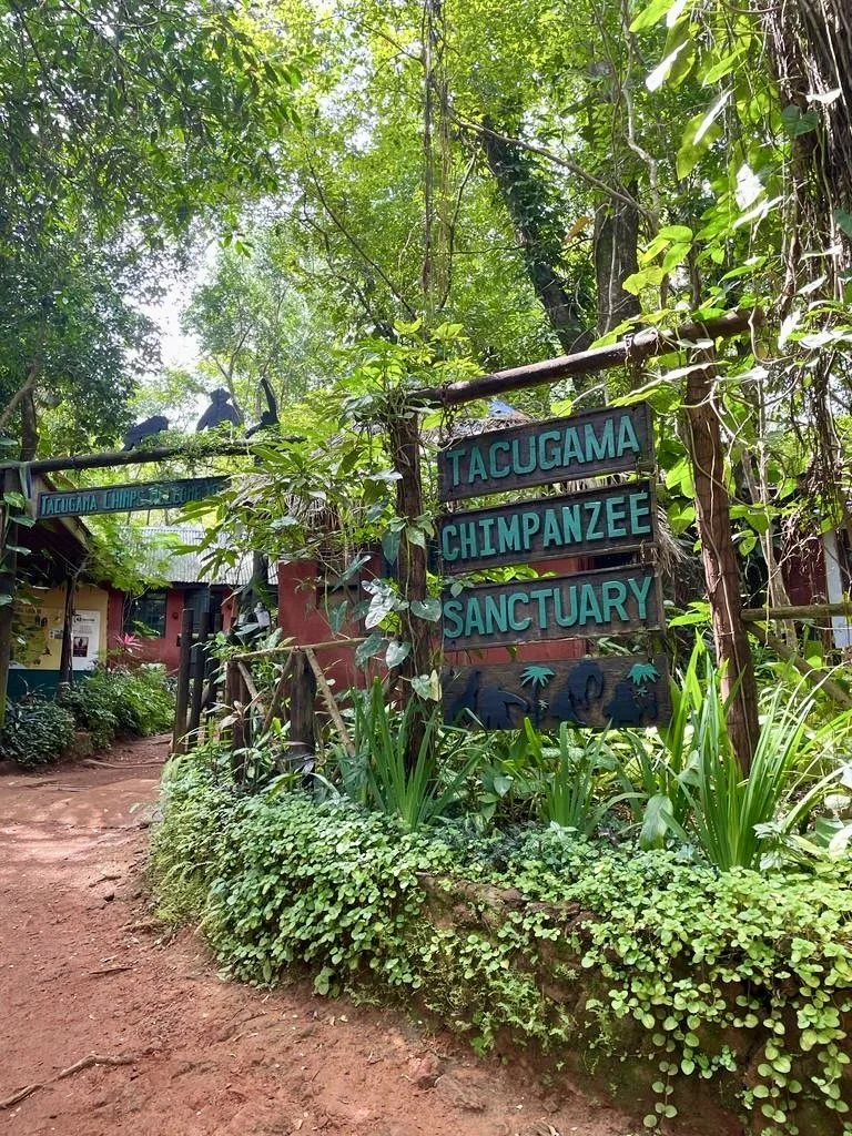Indgangen til Tacugama Chimpanzee Sanctuary omgivet af frodig regnskov.