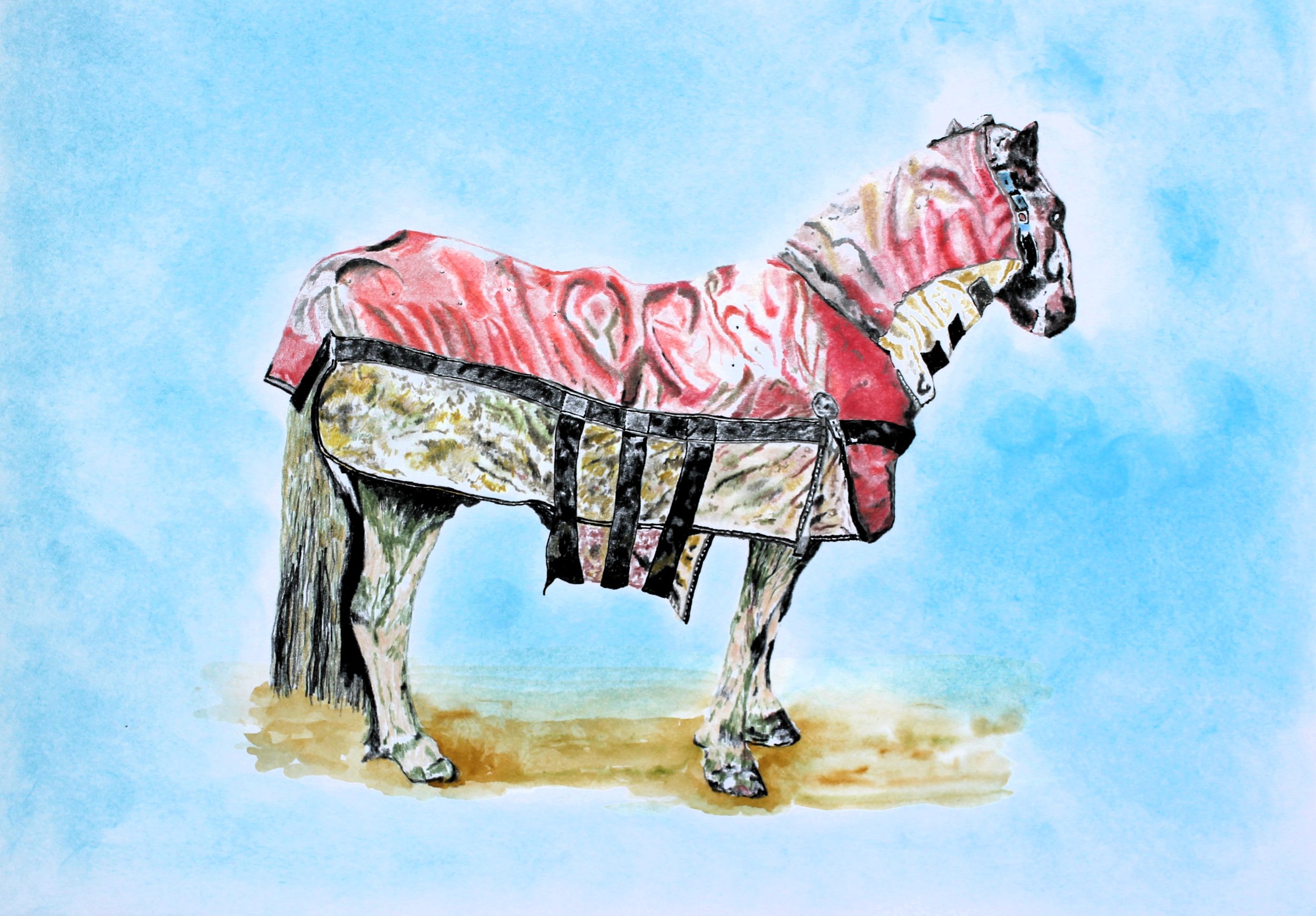 Winter Coat