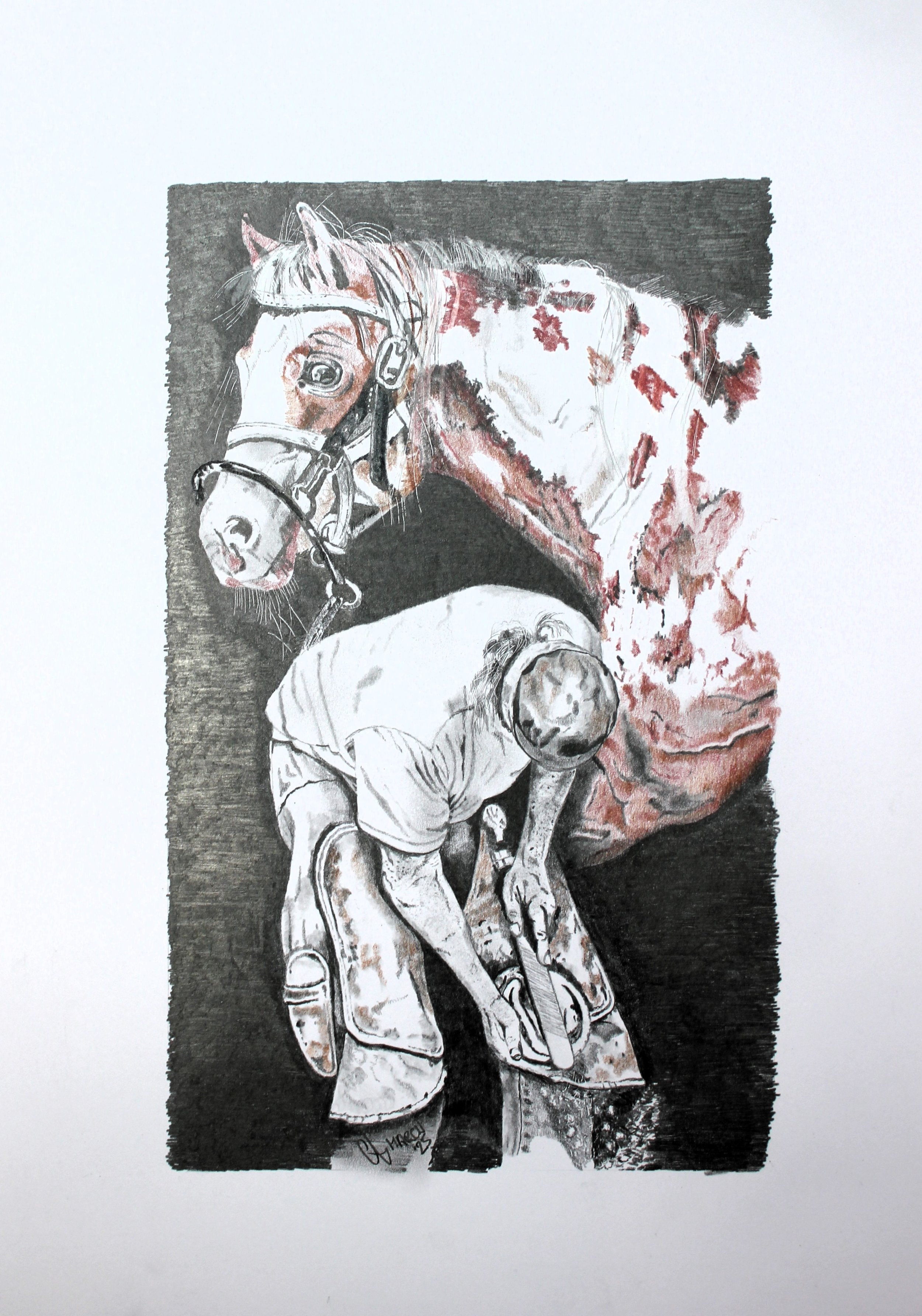 "The Patient Eye"