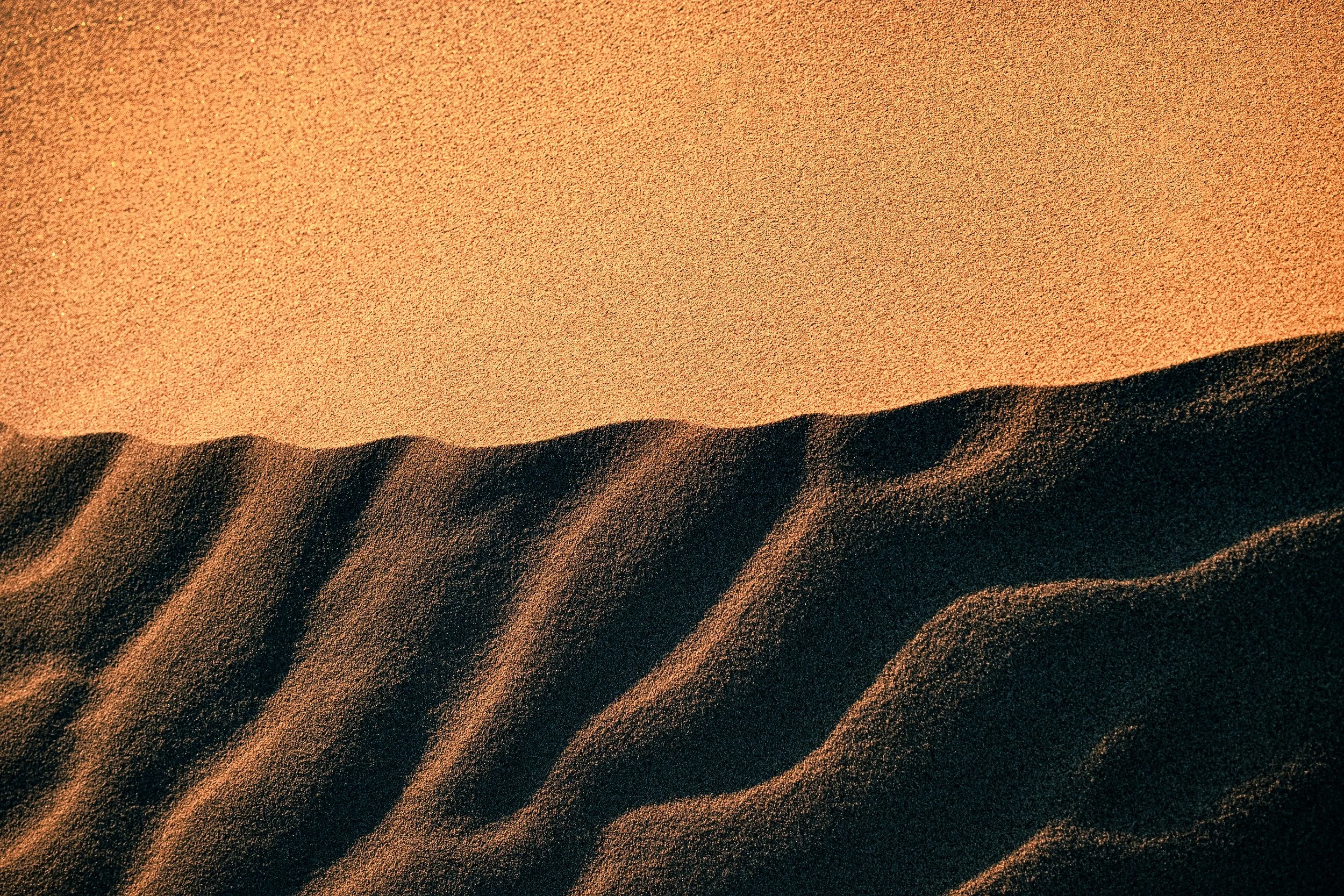 _DSF2648_baja.jpg