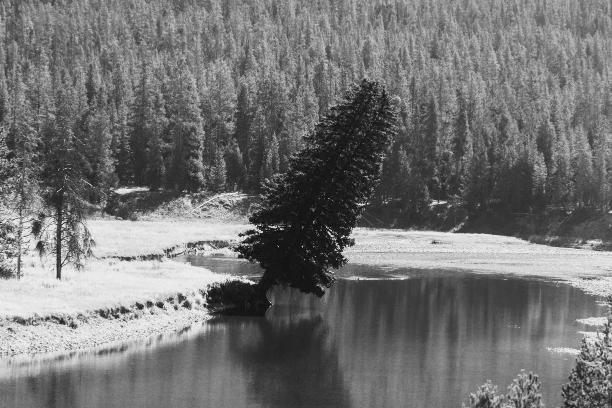 YELLOWSTONE2025-320-2.jpg