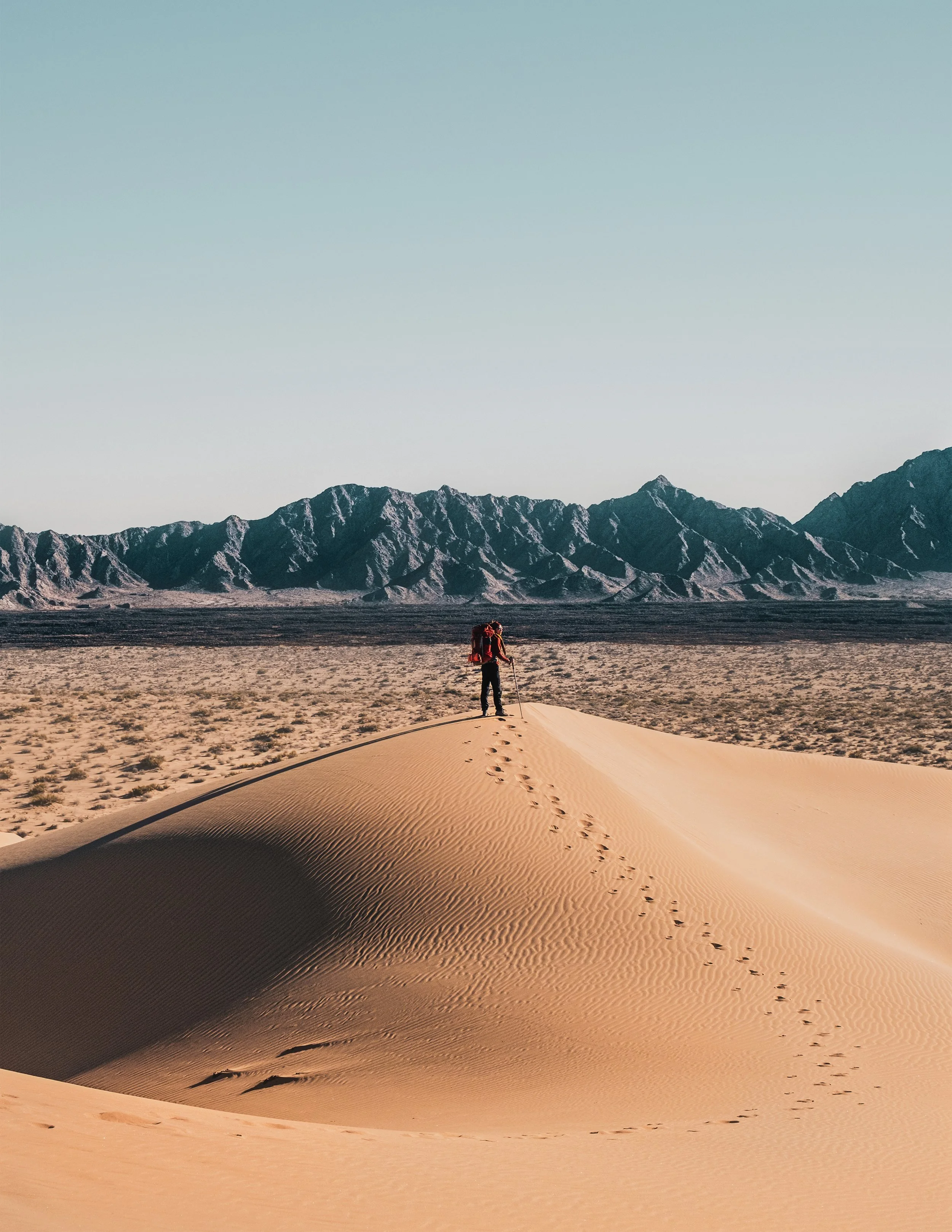 _DSF2723_baja.jpg