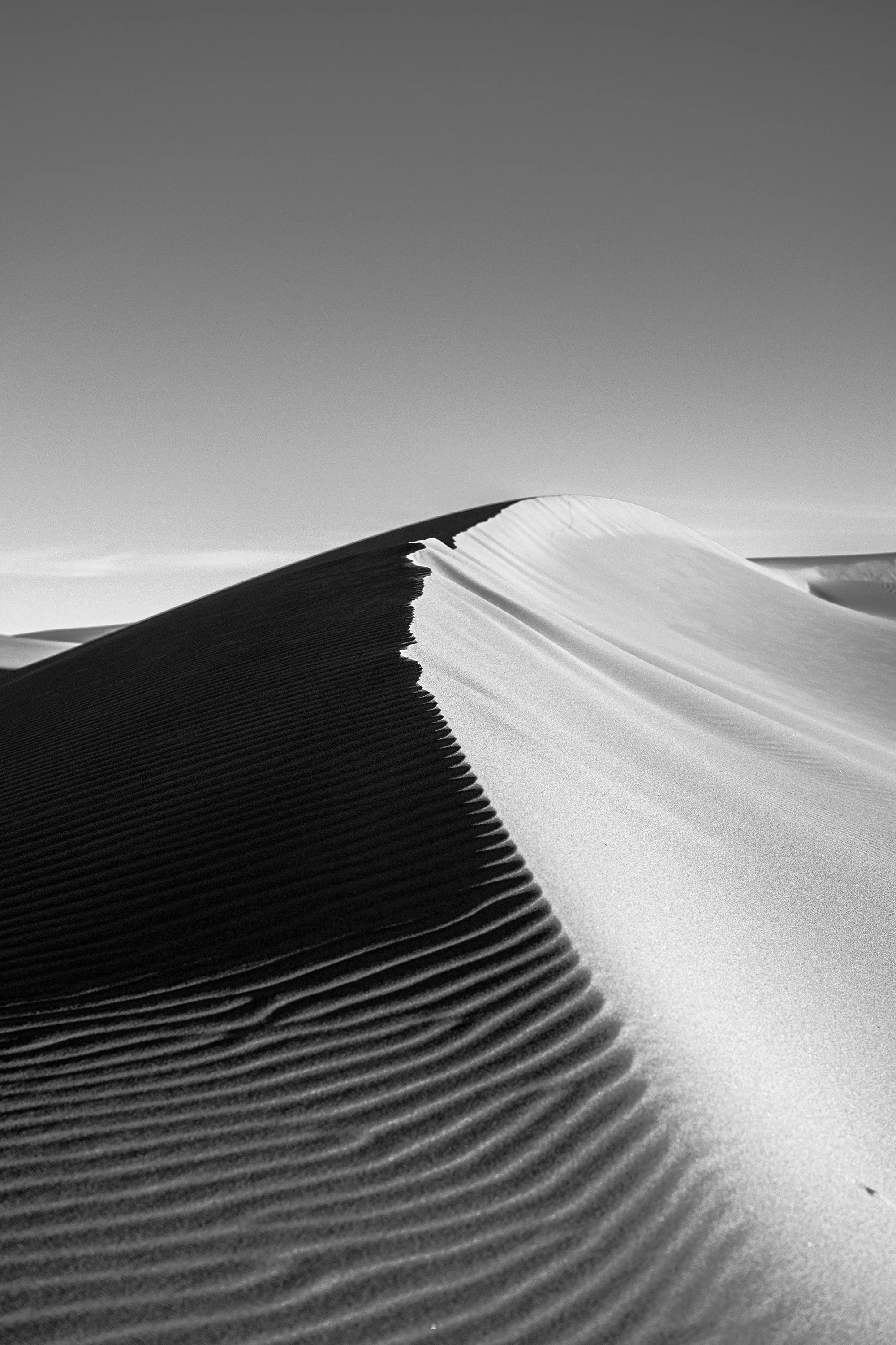 _DSF2686_bnw_baja.jpg