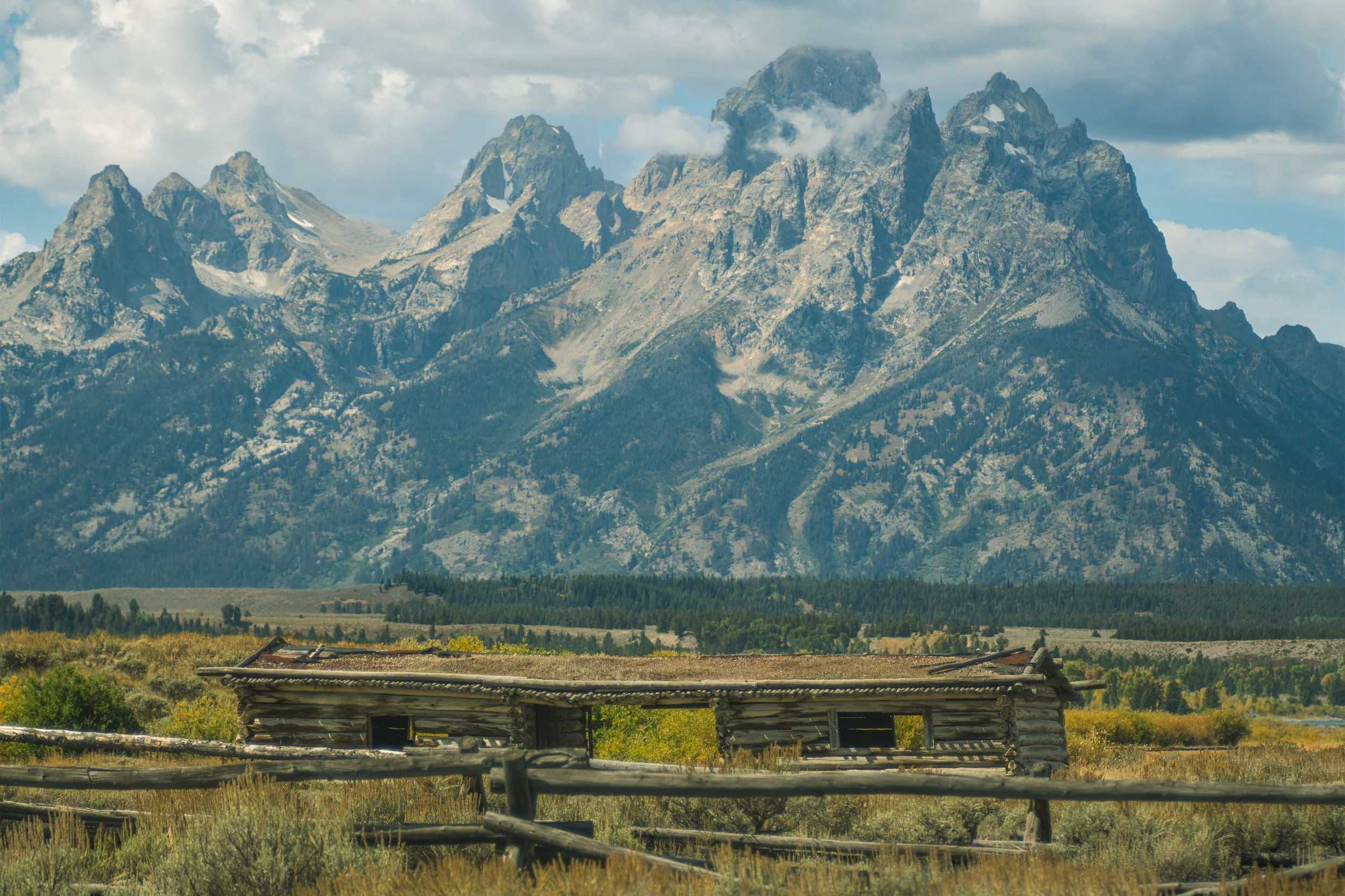 YELLOWSTONE2025-138-2.jpg