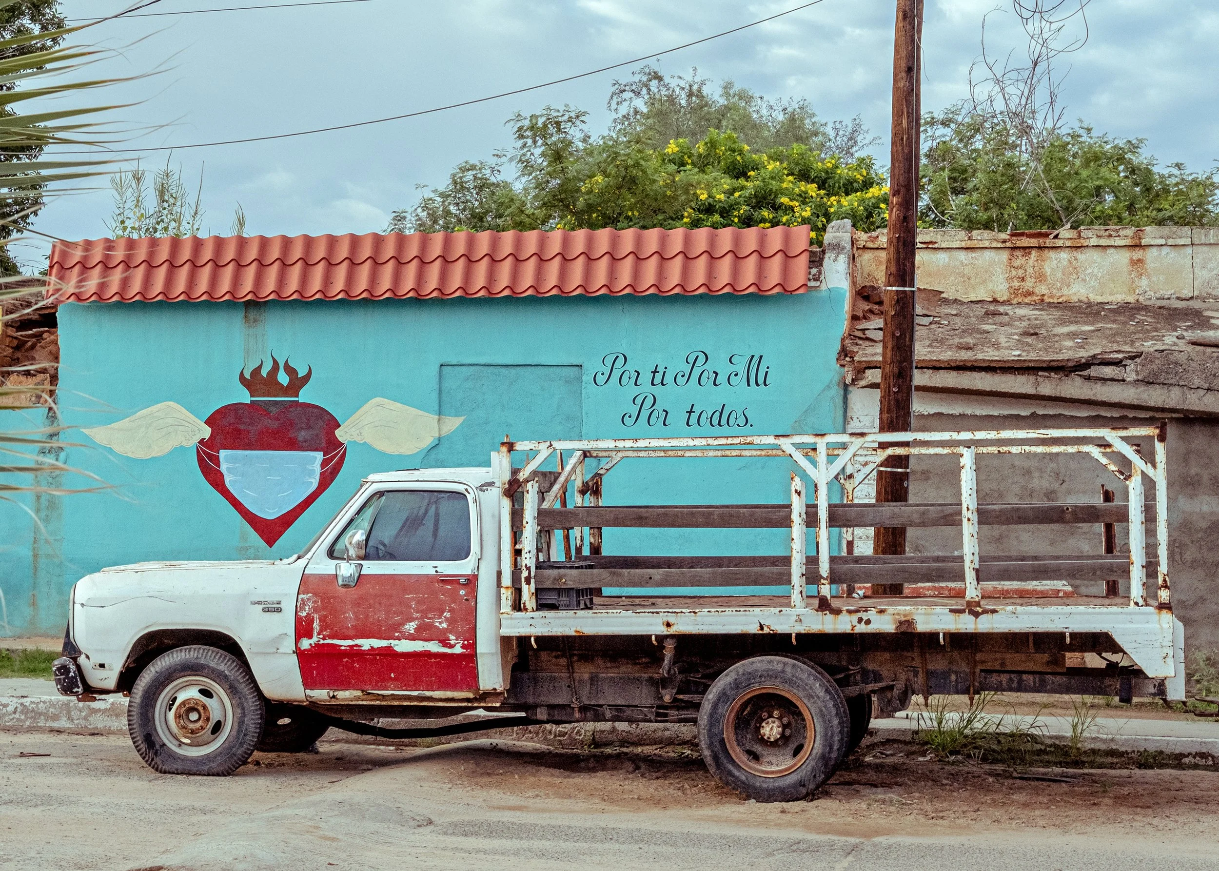 DSCF0820_baja.jpg