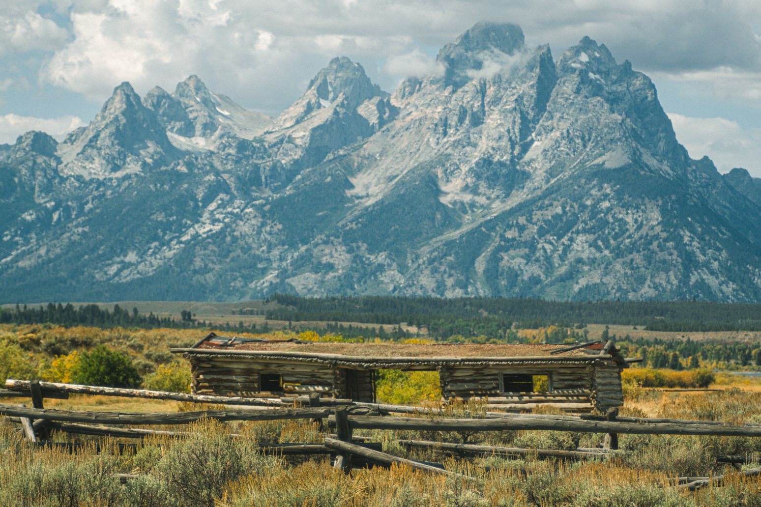 YELLOWSTONE2025-460.jpg