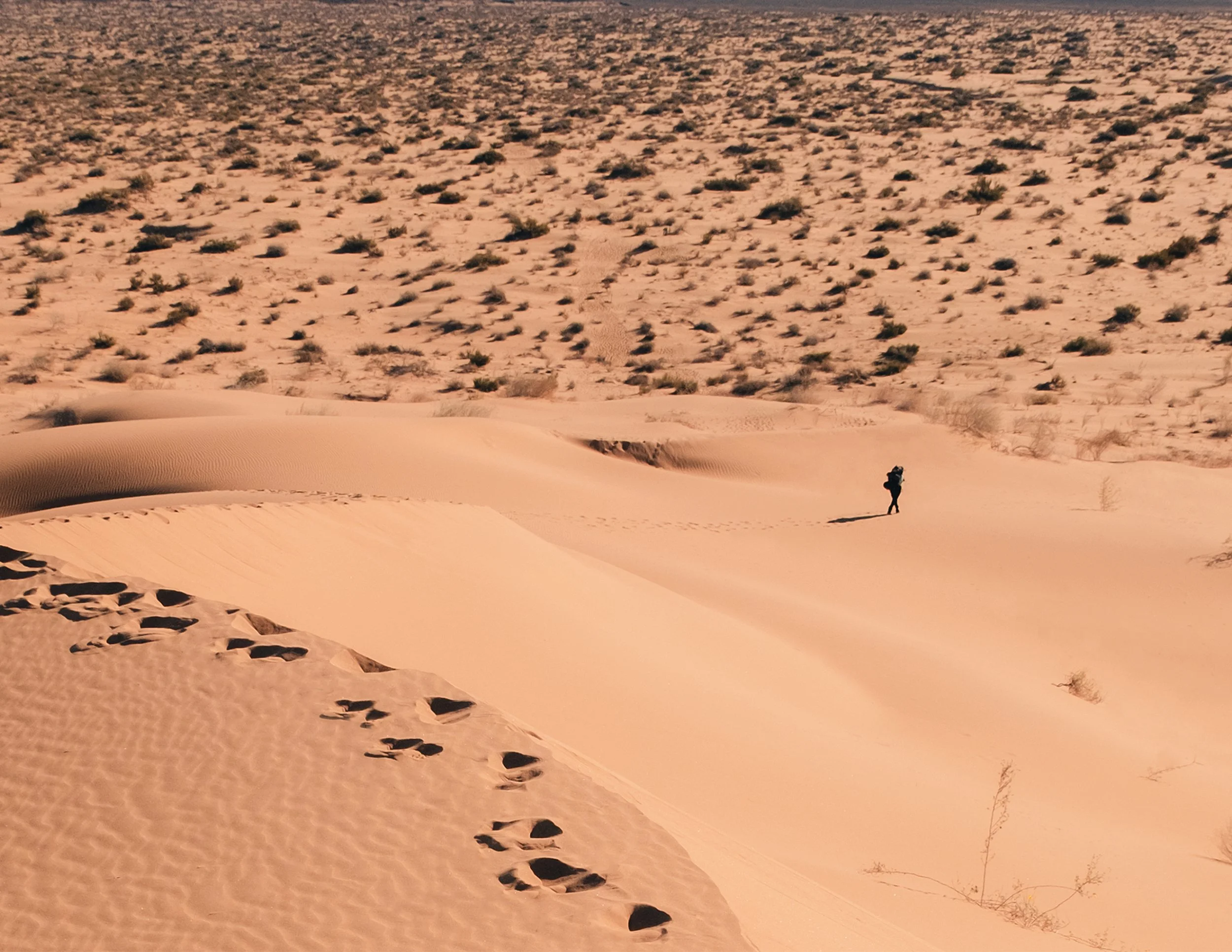 _DSF2746_baja.jpg