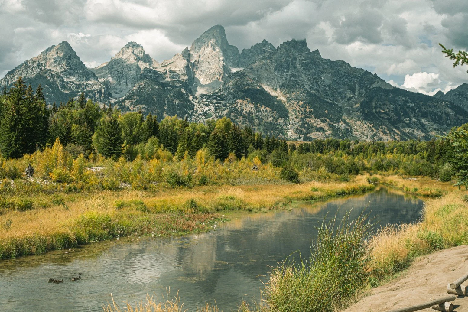 YELLOWSTONE2025-83.jpg