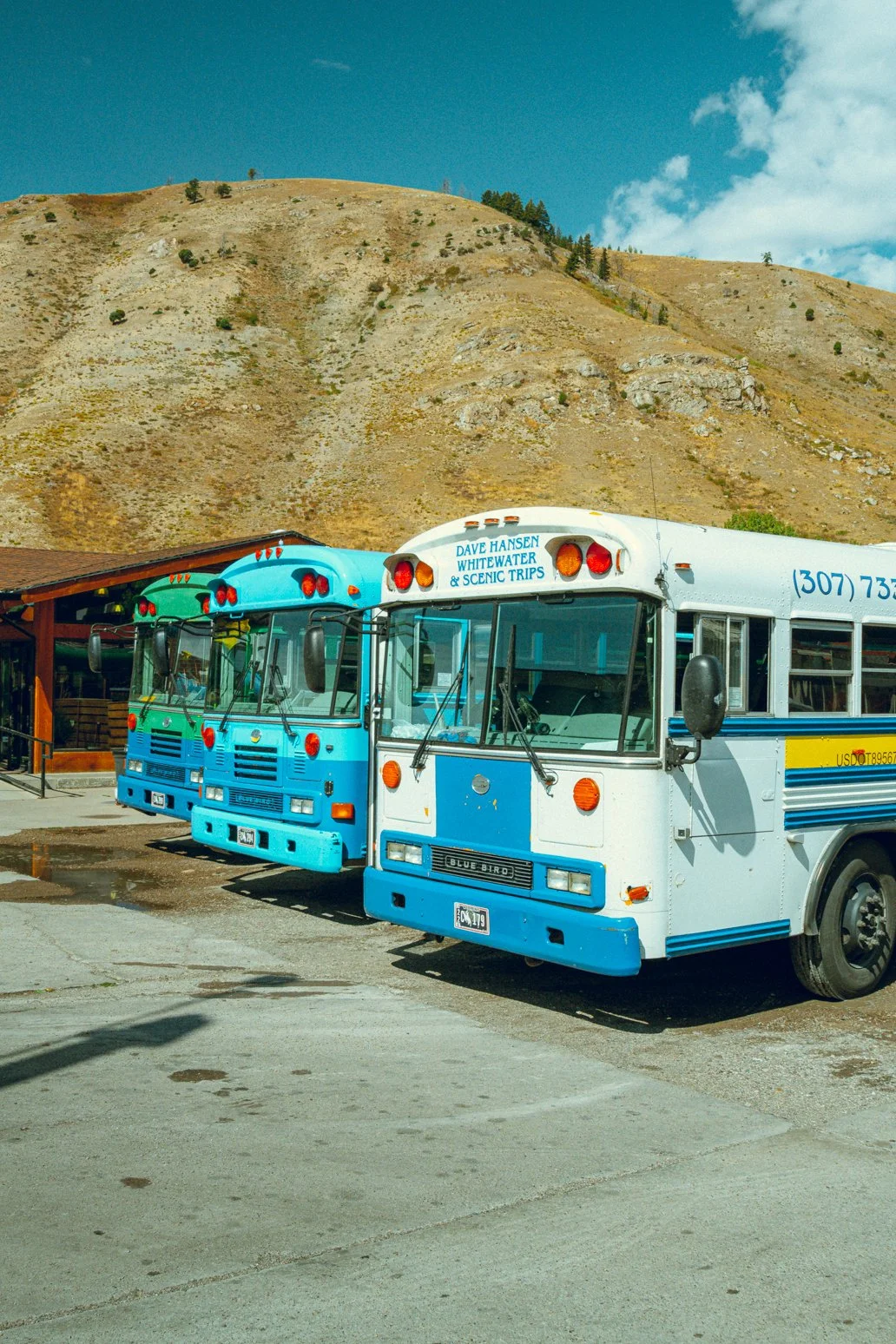 YELLOWSTONE2025-64.jpg