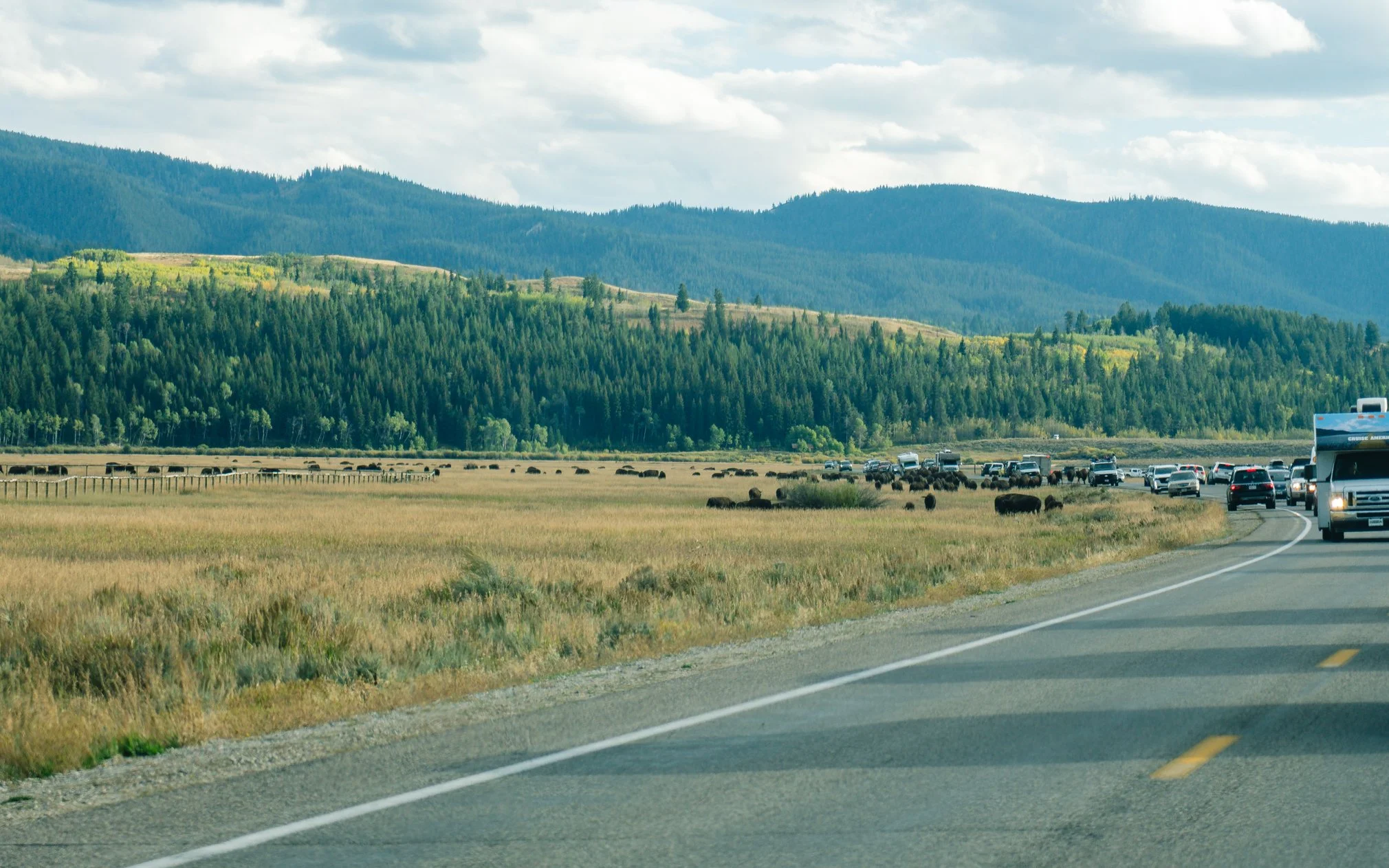 YELLOWSTONE2025-75.jpg
