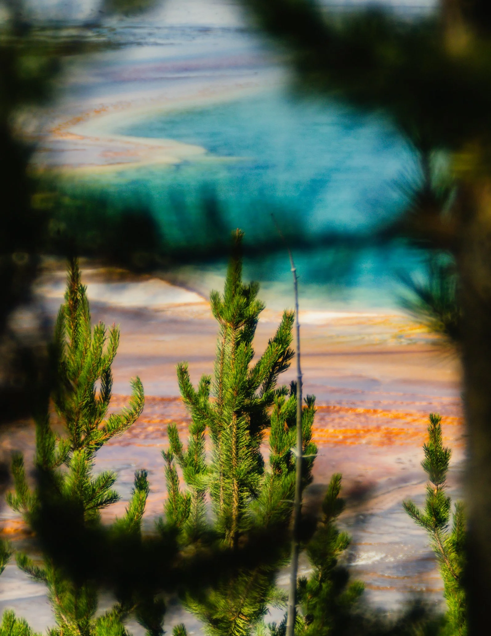 YELLOWSTONE2025-90.jpg